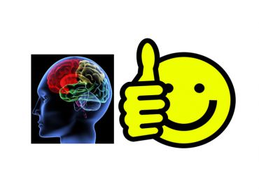 Alcohol en drugs, fijn voor je brein? Alcohol en drugs, fijn voor je brein?