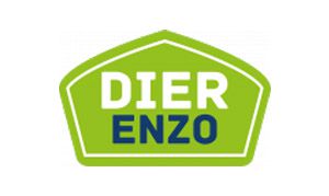 Dier Enzo