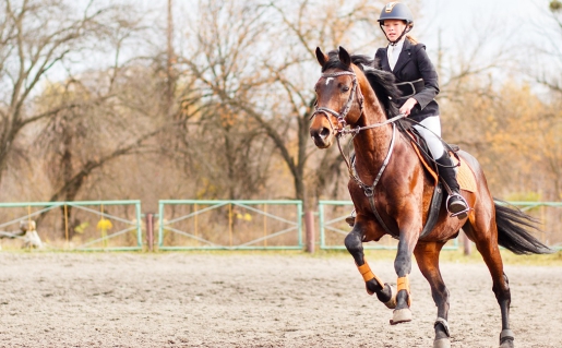 Helpende hand tijdens diverse ruitersportwedstrijden