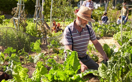 (Moes)tuinier met sociaal hart