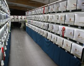 Vogeltentoonstelling "De Bronzen Veer "