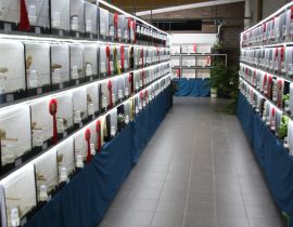 Vogeltentoonstelling "De Bronzen Veer "