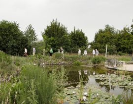 Open Rondleidingen Voedselbos Geffen