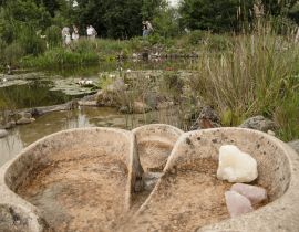 Open Rondleidingen Voedselbos Geffen