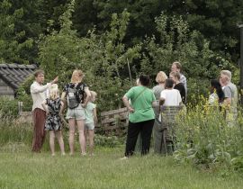 Open Rondleidingen Voedselbos Geffen