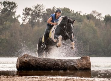 TREC Geffen